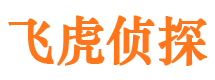 溧阳私家调查公司